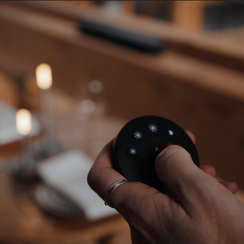 Graypants wick pro remote control