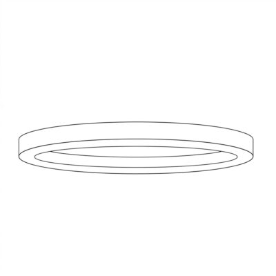 Ring.jpg